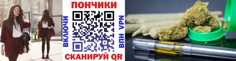 Магазины продажи наркотиков Вытегра Галлюциногенные грибы  Кокаин  СОЛЬ  Канабис  Меф  Гашиш 