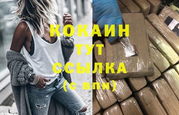 индика Абинск