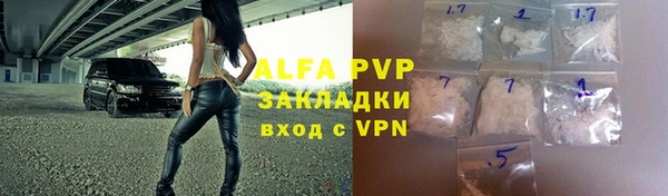 индика Абинск