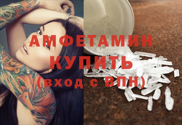 индика Абинск