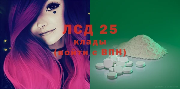 индика Абинск