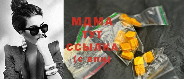 индика Абинск