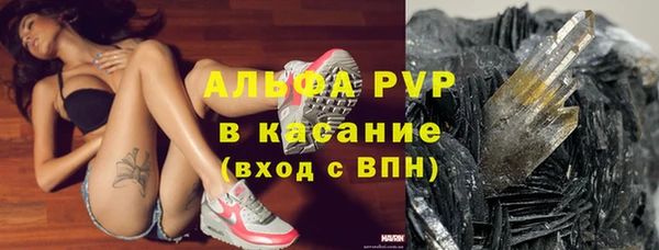PSILOCYBIN Семёнов